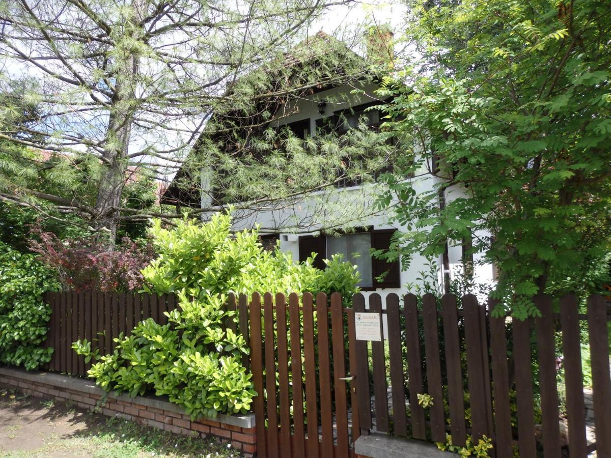 Orgona Vendeghaz Villa Velence Exteriör bild